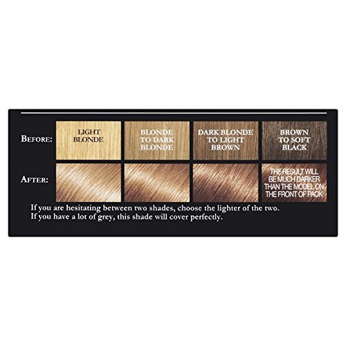 L'oreal Paris Recital Preference Hair Colour, Florida Honey Blonde ...