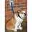 MDC Dog Parking Hook 2