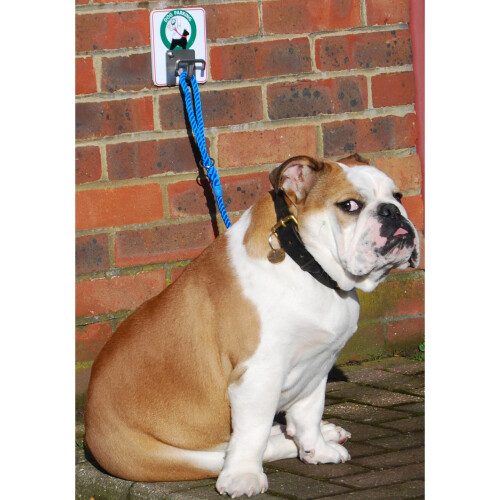 MDC Dog Parking Hook 1