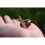 My Living World Snail World 4