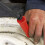 Sealey Tyre Valve Removal/Installation Tool 4