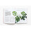 How to Raise a Plant: and Make it Love You Back 11