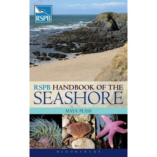 RSPB Handbook of the Seashore