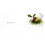 Because of an Acorn - Book 4
