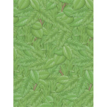 Pacon Corporation PAC56255 Fadeless 48X50 Rl Tropical Foliage