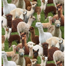Fat Quarter Llamas Farm Animals Cotton Quilting Sewing Fabric
