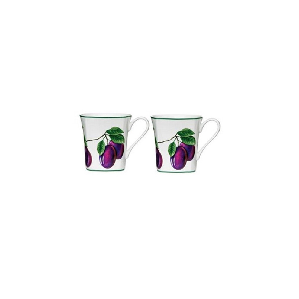 Premier Housewares Durable Design Fruits Sugar Plum Cup And Saucer, Durable Tea Set, Bone China Cup And Saucer For Bedroom