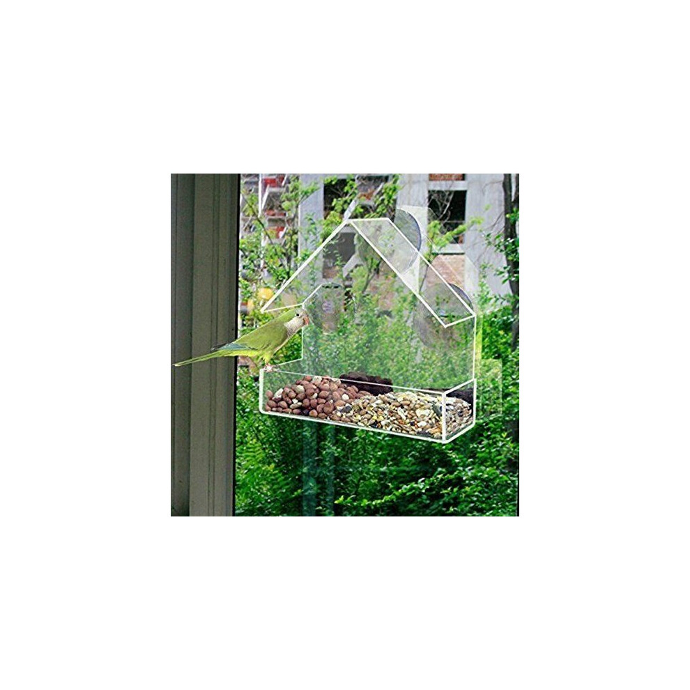 Window Bird Feeder Clear Perspex Hanging Bird Feeder With Suction Cup