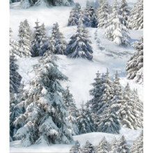 Fat Quarter Snowy Forest Trees Cotton Quilting Fabric Elizabeths Studio 215