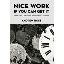 Nice Work If You Can Get It: Life and Labor in Precarious Times (NYU Series in Social and Cultural Analysis)
