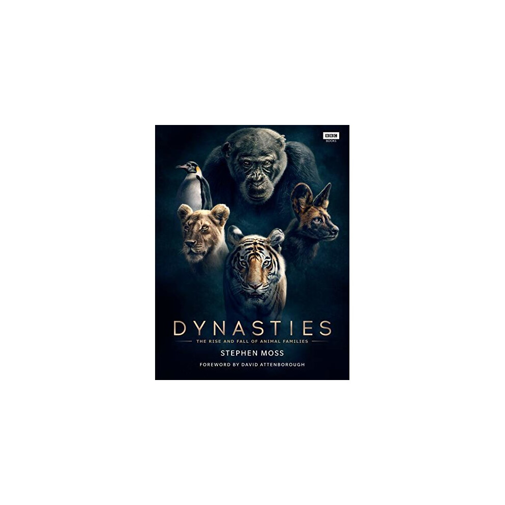 Dynasties Rise And Fall Of Animal Families Hardcover NEW - Image 15