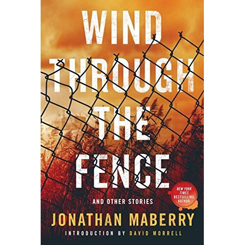 Wind Through the Fence: And Other Stories