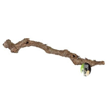 (80 - 100cm) ProRep Cork Oak Branch