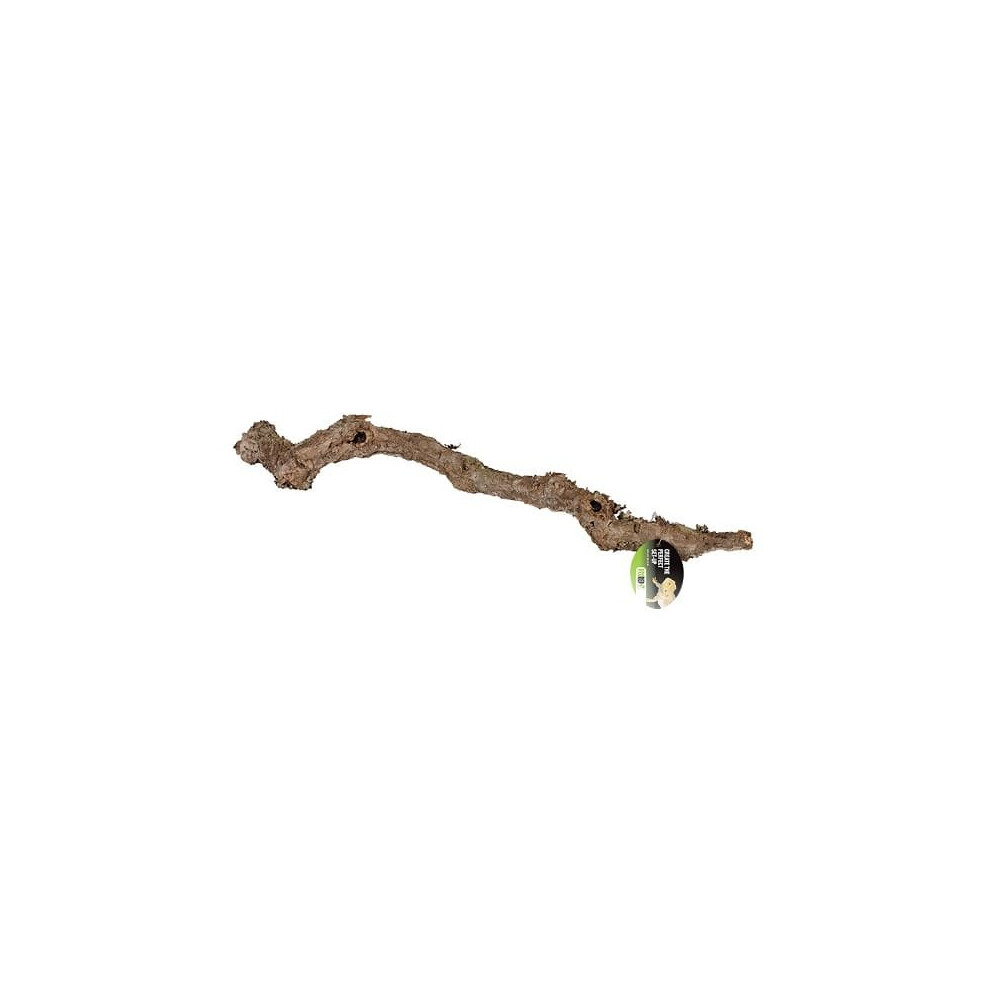 (80 - 100cm) ProRep Cork Oak Branch