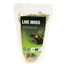 (Small) ProRep Live moss