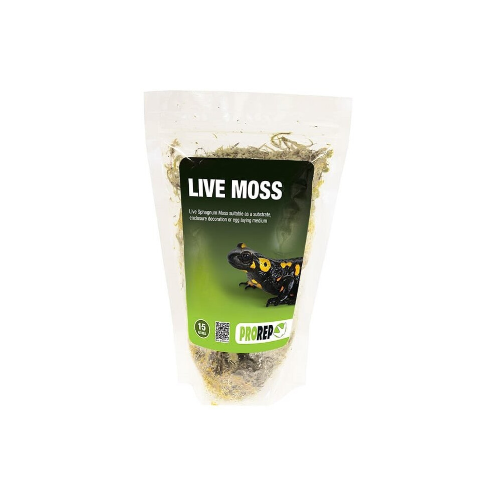 ) Prorep Live Moss Small