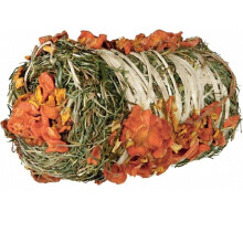 Trixie Pure Nature Hay Bale Pumpkin & Carrot 200g