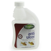 (250ml) Blagdon Anti Ulcer Fish Treatment