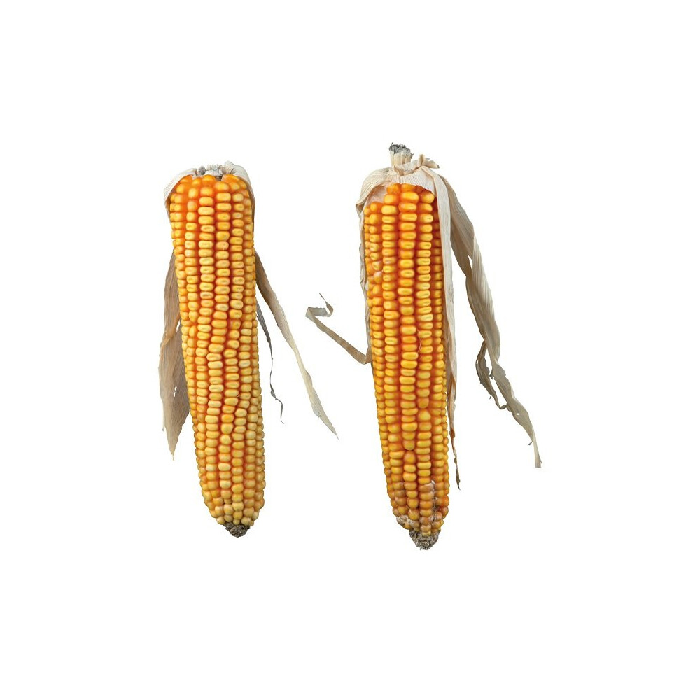 Trixie Maize Cobs 2pcs