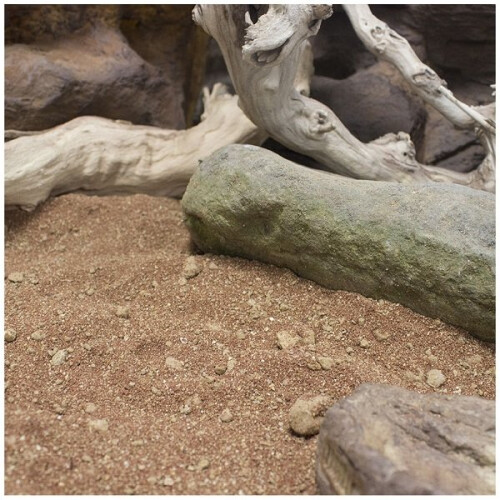 ProRep Beardie Life Desert Substrate 10kg 1