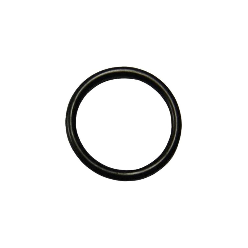 Watermaster Socket 'O' Ring 766478303103