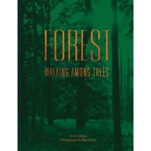 Forest: Walking among trees