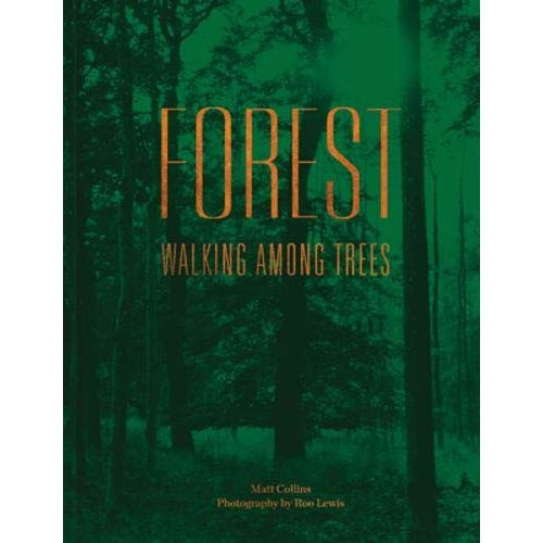 Forest: Walking among trees