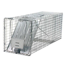 Woodstrean Corp W75 1079 10 in. W x 32 in. L x 12 in. H One Door Groundhog Animal Trap