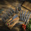 Tower Tower T81521G -Coated 24 Knife Set 2