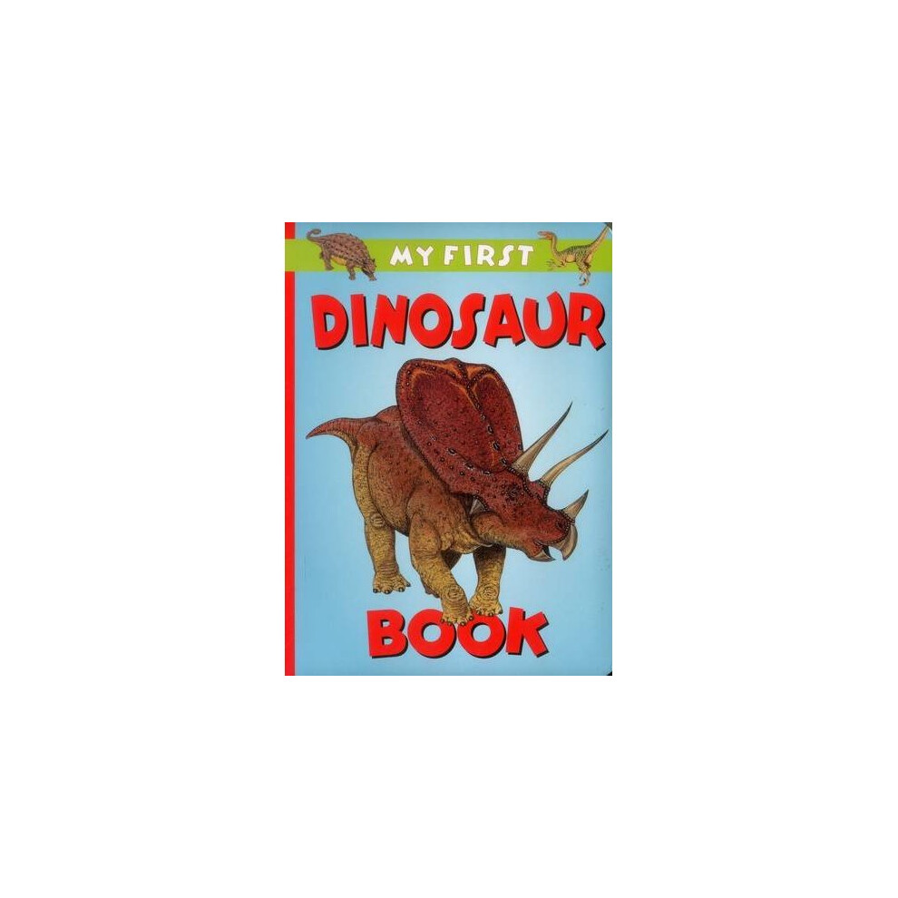 My First Dinosaur Book