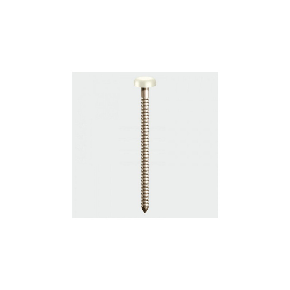 TIMco PP40W Polymer Headed Pin White 40mm Box of 250