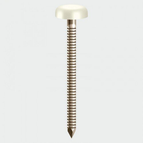 TIMco TIMco PN65W Polymer Headed Nails White 65mm Box of 100