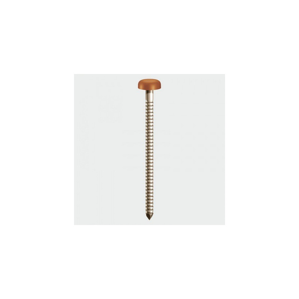 TIMco PP40CB Polymer Headed Pin Clay Brown 40mm Box of 250