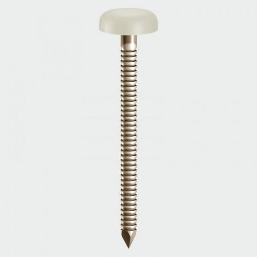 TIMco TIMco PN50CC Polymer Headed Nails Cream 50mm Box of 100