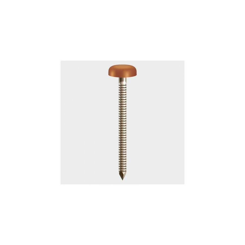 TIMco PN50CB Polymer Headed Nails Clay Brown 50mm Box of 100