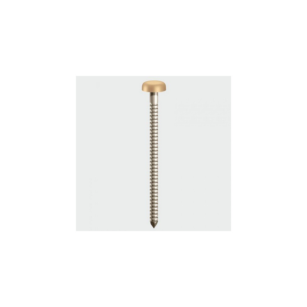 TIMco PP25BEIGE Polymer Headed Pin Beige 25mm Box of 250