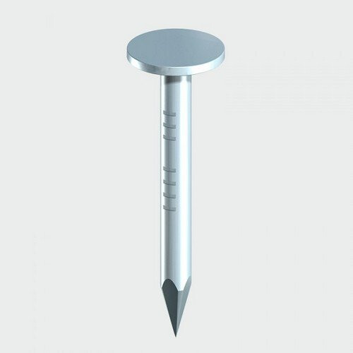 TIMco TIMco GEC40B Clout Nails ELH Galvanised 40 x 3.00mm 1.00 KG