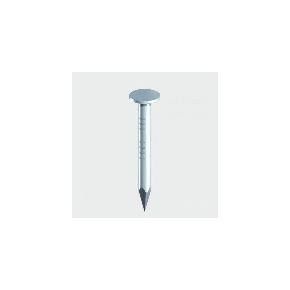 TIMco GCN30LB Clout Nails Galvanised 30 x 2.65mm 2.50 KG