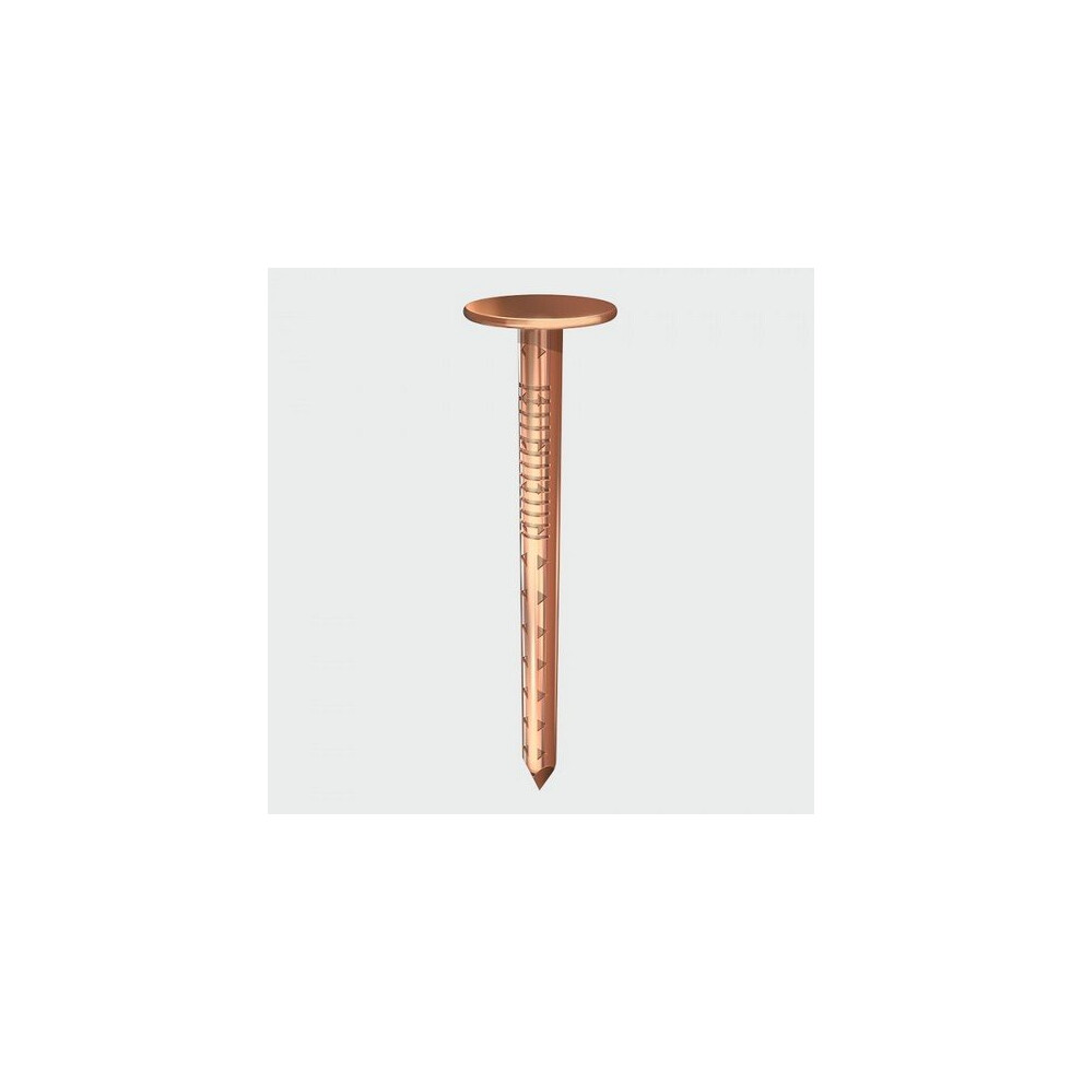 TIMco COP338BOX Clout Nail Copper 38 x 3.35mm 10.00 KG