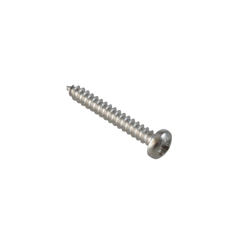 Forgefix Fpstpp16ss Self-Tapping Screw Pozi Pan A2 Ss 1In X 6 Forgepack 30