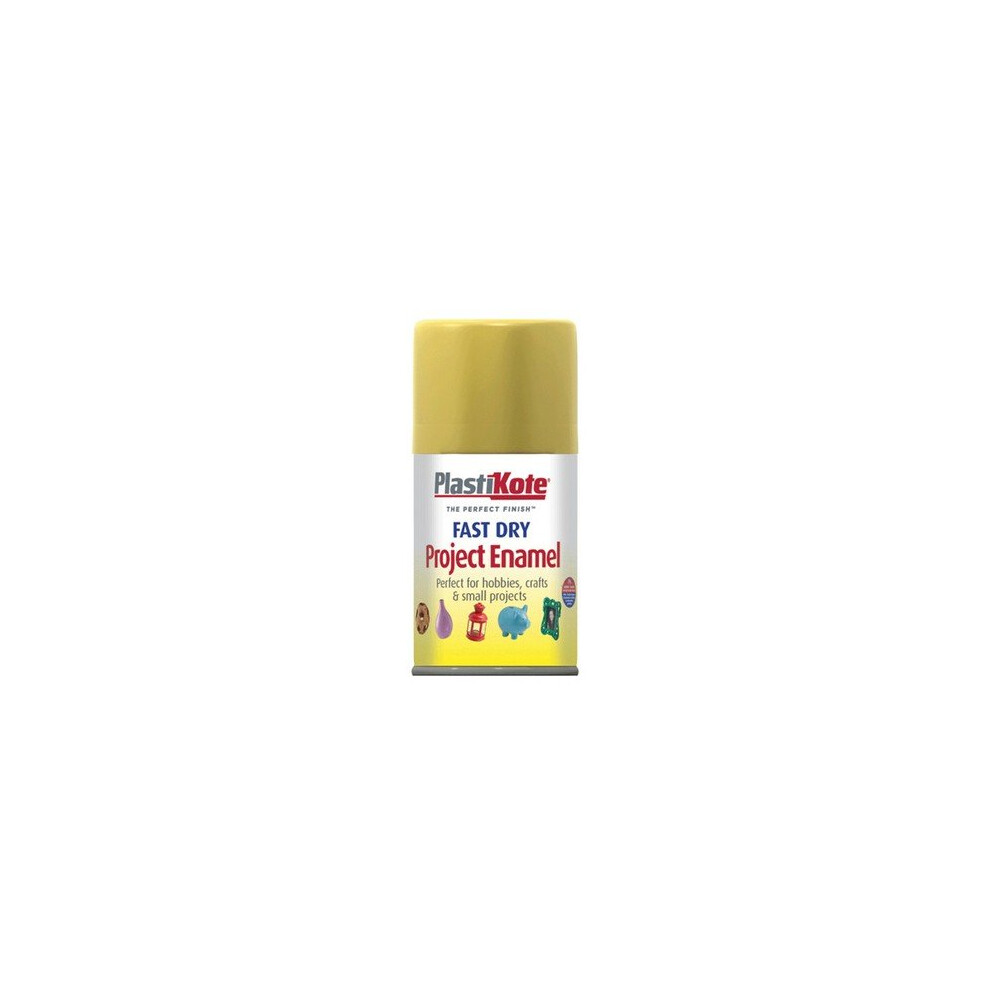 Plasti-Kote PKT110S Fast Dry Enamel Aerosol Gold Leaf 100ml