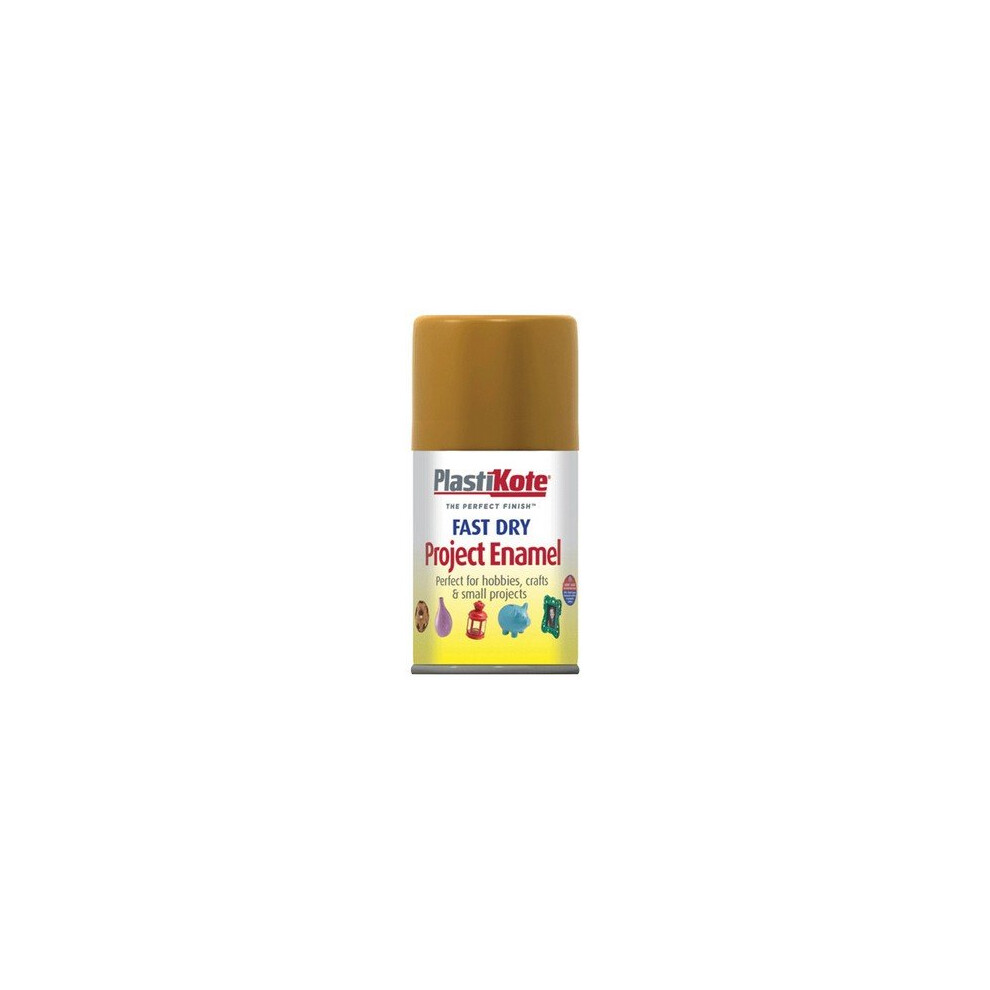 Plasti-Kote PKT138S Fast Dry Enamel Aerosol Copper 100ml