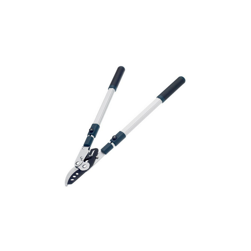 Bulldog BD3113TW Premier Compound Lopping Shears with Extendable Handles - Bypass Loppers, 38mm Cut, Soft-Touch Grip, Push-Button Lock