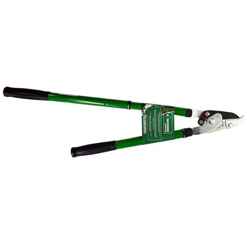 Kingfisher Kingfisher ALT220 Telescopic Anvil Lopper
