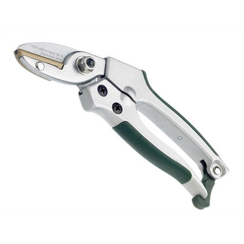 Bulldog Bulldog BD3152C Premier Anvil Pruning Shears