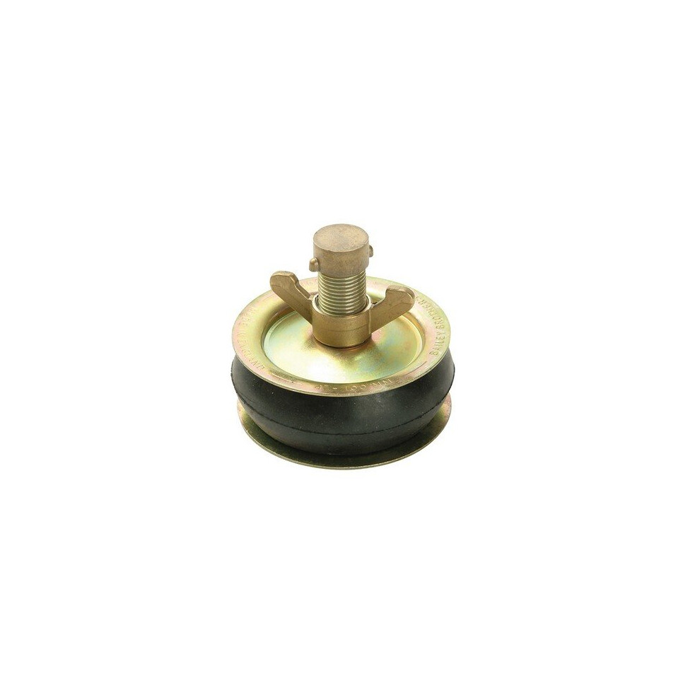 Bailey Drain Test Plug Brass Cap 450mm - Image 5