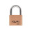 Squire Squire LN60 Lion Range Brass Padlock 60mm 1
