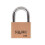 Squire Squire LN5 LN5 Lion Brass Padlock 5-Pin 50mm 1