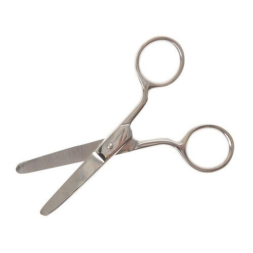 Faithfull Faithfull FAISCPS4 Pocket Scissors 100mm (4in)
