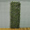 Artificial Lemon Leaf Expanding Trellis (180cm x 60cm) 1